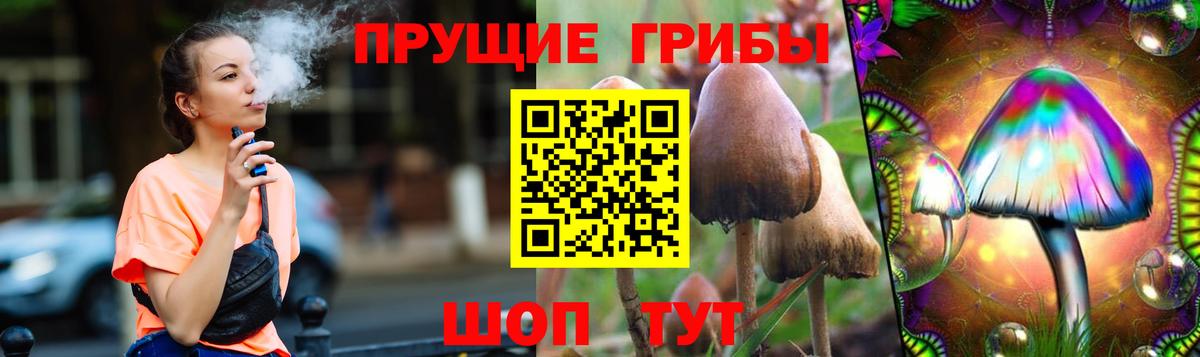 Галлюциногенные грибы MAGIC MUSHROOMS  Псилоцибиновые грибы мицелий  Усинск  Вход с VPN 
